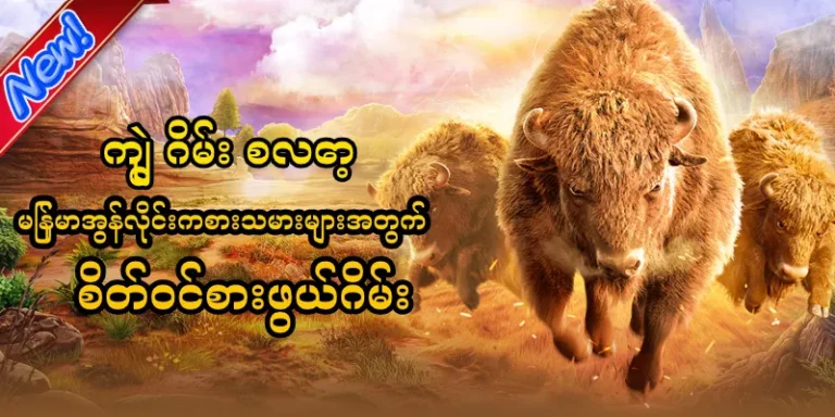 ကျွဲ ဂိမ်း စလော့